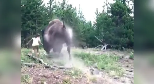El enorme animal se lanzó sobre la menor que caminaba junto a otras personas de su familia