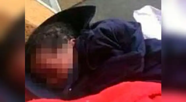 La criatura fue trasladada al hospital más cercano de Florida, Estados Unidos