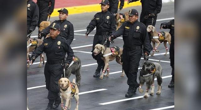 Policía Canina no será parte del Desfile Militar Policía Canina no será parte del Desfile Militar