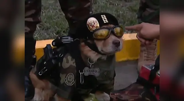 El can de la PNP ha realizado importantes misiones que incluyen salto en paracaídas El can de la PNP ha realizado importantes misiones que incluyen salto en paracaídas