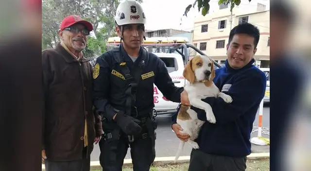 Agentes PNP salvaron la vida de un perro en el Callao Agentes PNP salvaron la vida de un perro en el Callao