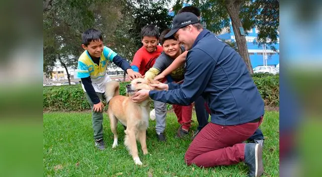 La Victoria: Municipalidad Sancionará el matrato contra los animales domésticos