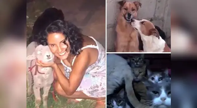 Fallece dueña de albergue y mascotas quedan abandonadas 