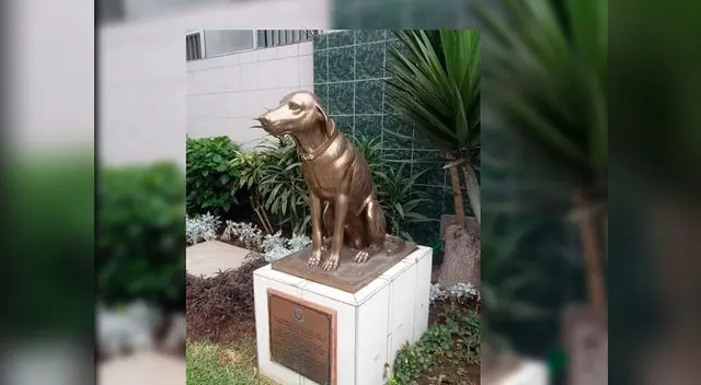 Capitán Julio fue uno de los perros más queridos de Miraflores Capitán Julio fue uno de los perros más queridos de Miraflores
