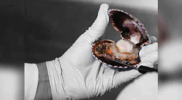 Ministerio de la Producción impone que en el área de producccióm San Lorenzo Ministerio de la Producción impone que en el área de producccióm San Lorenzo