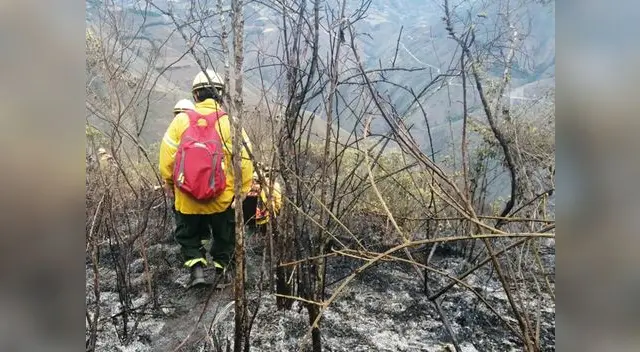 Se está comenzando con la liquidación del incendio, señala