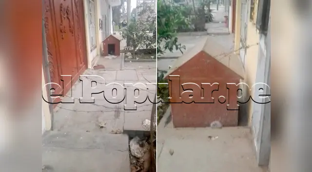 Los alambres ponen en riesgo a niños y caminantes de la zona debido a que no se ven con facilidad