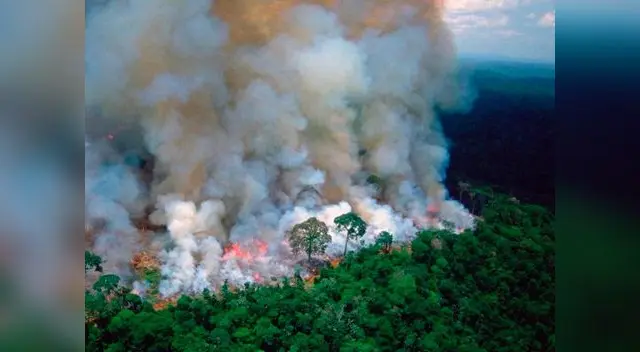La Amazonía se está destruyendo