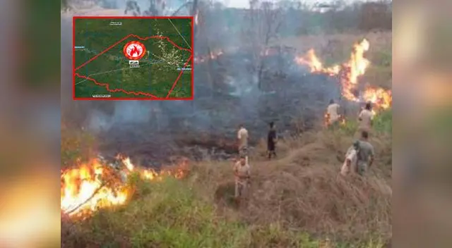Incendio forestal en Madre de Dios pone en alerta la selva peruana Incendio forestal en Madre de Dios pone en alerta la selva peruana