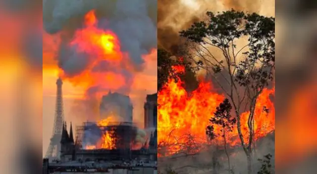 Usuarios comparan el incendio del Amazonas con el de Notre Dame Usuarios comparan el incendio del Amazonas con el de Notre Dame