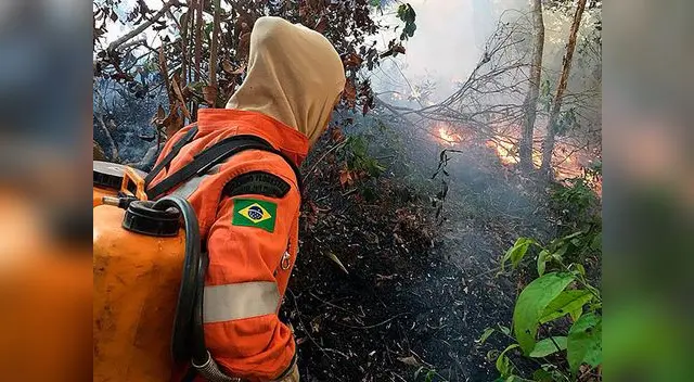 En 18 días el incendio ha consumido una extensión de bosques equivalente a un tercio de Lima