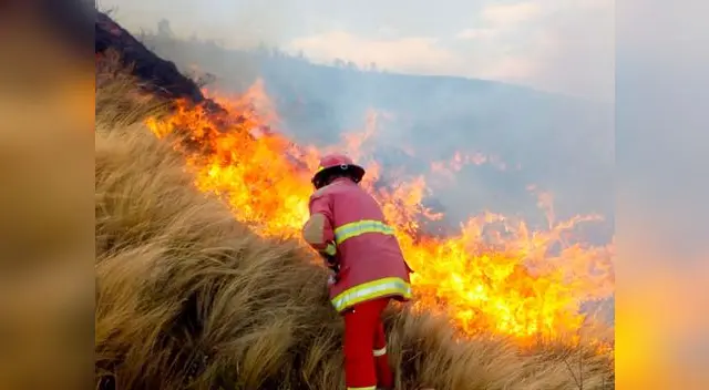 Se registraron más de cien incendios forestales en el Perú en menos de un mes 