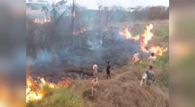 Piden declarar en estado de emergencia Madre de Dios  