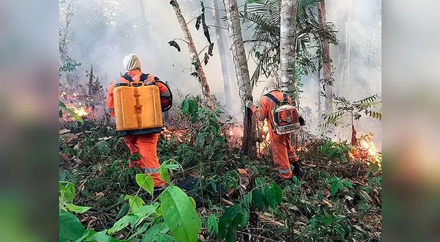 Argentina, Uruguay y Paraguay se quedarán sin agua a causa de siniestros forestales Argentina, Uruguay y Paraguay se quedarán sin agua a causa de siniestros forestales