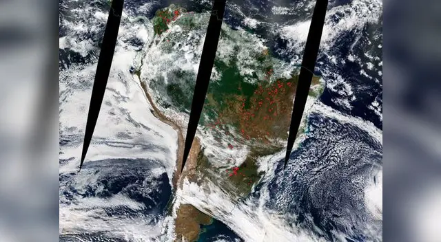 Este es el estado actual de los incendios en la Amazonía de Brasil 