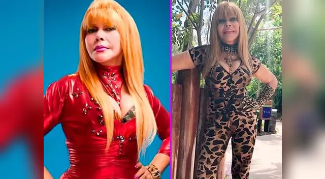 Tigresa del Oriente quiere tener un lugar en el Congreso