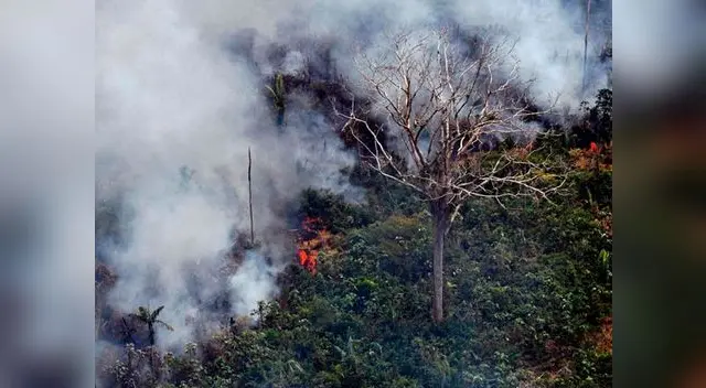 Jair Bolsonaro rechaza 20 millones de dólares para combatir incendios en Brasil Jair Bolsonaro rechaza 20 millones de dólares para combatir incendios en Brasil