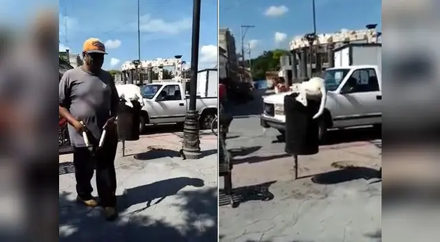 Crueldad en contra de perro ha causado rechazo de miles de usuarios en Youtube