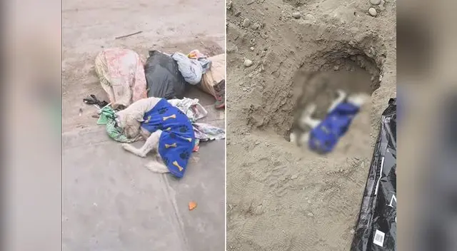 Historia de la partida de un perro callejero es el viral de Facebook Historia de la partida de un perro callejero es el viral de Facebook