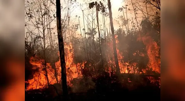 Identifican a sospechosos de provocar incendios en Brasil 