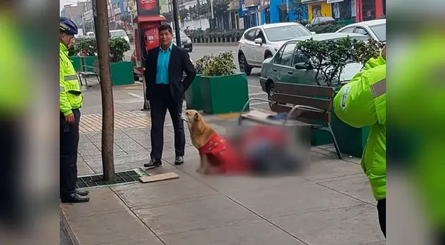 Persona fallece y su mascota se queda a su lado 