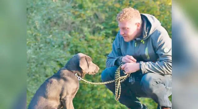 Es importante analizar el contexto para entender qué nos quiere decir nuestro perro