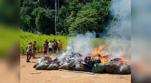 Operativo se desarrolló en el caserío Alto Challwayacu, distrito Pólvora, en San Martín