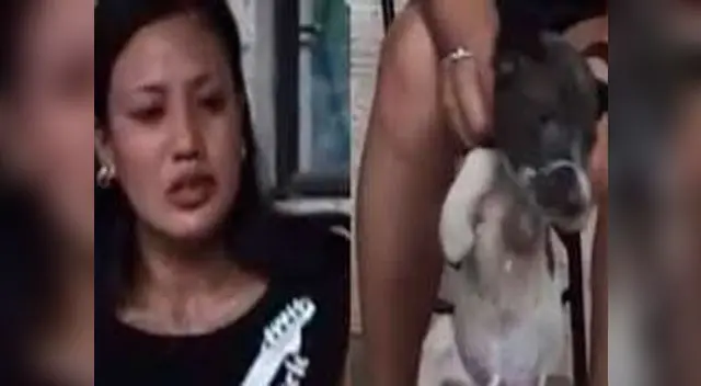 Video viral muestra a mujer quemar con un cigarro los ojos de un cachorro 