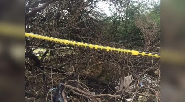 En estos matorrales fue hallado el Niño Sicario