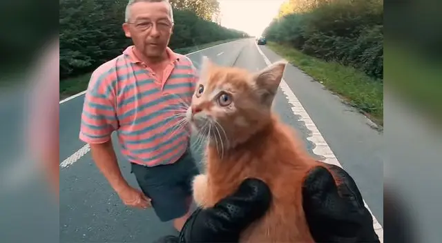 Dos hombres arriesgaron su vida para salvar a un gato en una carretera de Bélgica 