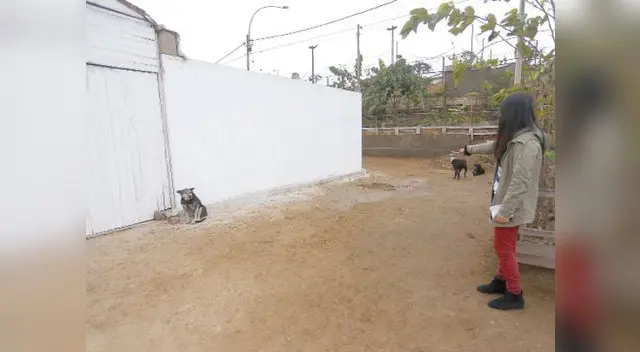 El occiso tiene denuncias policiales El occiso tiene denuncias policiales