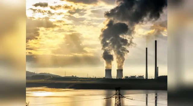 Profesor propone comer carne humana para combatir el cambio climático  