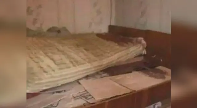 Una mujer ucraniana asesinó, decapitó y descuartizo a su esposo y se lo dio de comer a sus perros Una mujer ucraniana asesinó, decapitó y descuartizo a su esposo y se lo dio de comer a sus perros