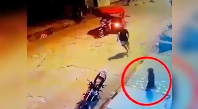 Perrito no tuvo miedo y hizo huir a ladrón que ya se preparaba para robar motociclieta