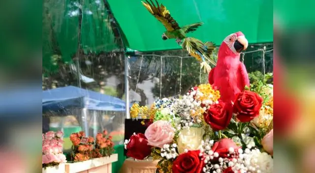 Peruflora exhibe especies exóticas de todo el Perú este fin de semana