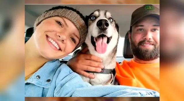 Un siberiano volvió a ver a su dueño tras estar perdido 4 años.