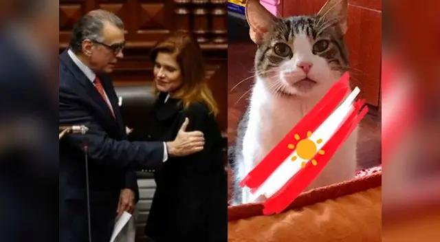 Mechita Challenge causa furor en Twitter