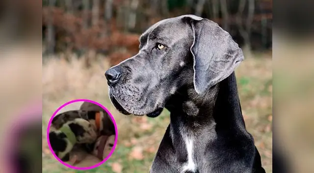 Han existido antes casos como estos Han existido antes casos como estos