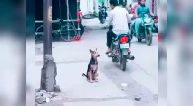 El por qué detrás de este hecho te emocionará El por qué detrás de este hecho te emocionará