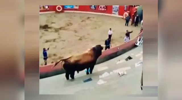 Toro desata pánico en público asistente Toro desata pánico en público asistente