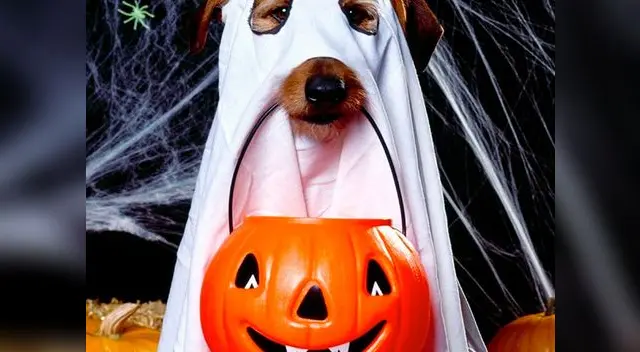 Disfraces al alcance de tu bolsillo