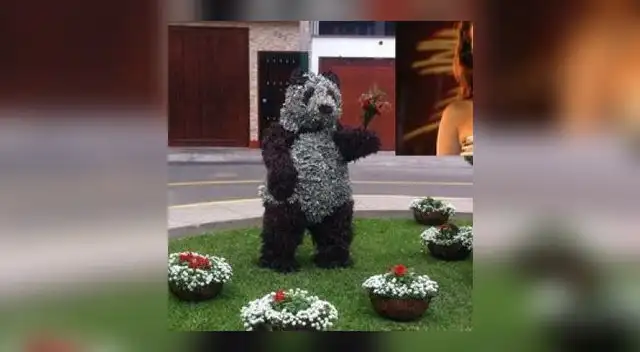 Oso de arbustos mandado a hacer por alcalde de Surco Oso de arbustos mandado a hacer por alcalde de Surco