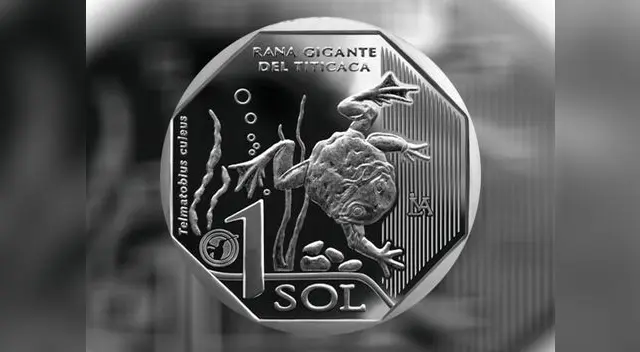 Moneda alusiva a la rana gigante del Titicaca Moneda alusiva a la rana gigante del Titicaca