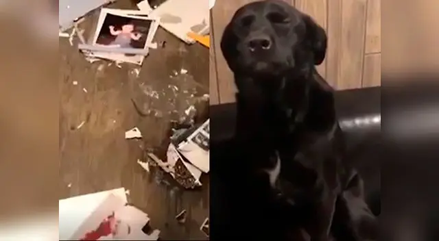 La grabación se ubicó como uno de los videos más vistos durante sus primeras horas en Internet. 