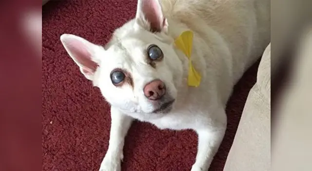 Margaret Adams sobre Suzy: “Me dio apoyo en momentos terribles”