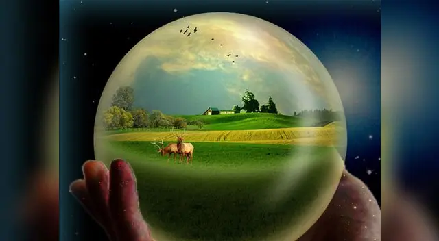 En el mundo hay 701 reservas de biosfera, situadas en 124 países