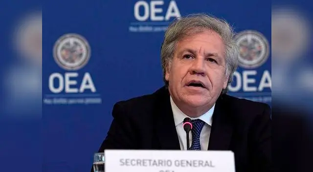 La OEA se pronunció luego de que Evo Morales renunciara al cargo de presidente La OEA se pronunció luego de que Evo Morales renunciara al cargo de presidente