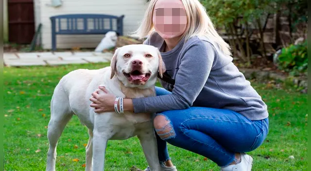 Perrito se ha convertido en pieza clave en la vida de Lucy Perrito se ha convertido en pieza clave en la vida de Lucy