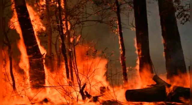 El hombre es acusado de provocar incendios para salvar su cultivo de marihuana