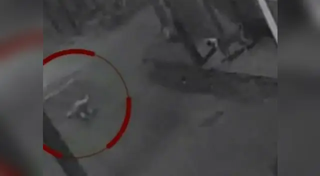 Cámaras evidenciaron el hecho. Foto: captura de pantalla Cámaras evidenciaron el hecho. Foto: captura de pantalla
